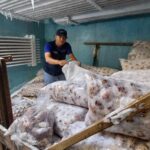 Produciendo Langosta en Nuestro Caribe: Impulso a la Economía Local