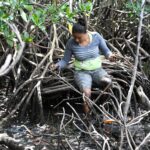 Campaña Nacional “Verde, que te quiero Verde” Avanza en la Reforestación de Chinandega