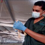 IPSA, Vigilancia y Bioseguridad: Claves en la Protección de las Granjas Avícolas