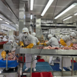 Crecimiento de 7.8% en producción nacional de carne bovina en Nicaragua en 2024