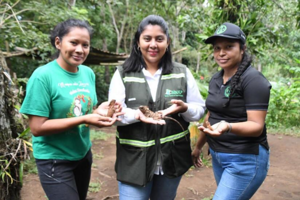 Implementan Prácticas Sostenibles para la Conservación de Fauna Silvestre en Mombacho