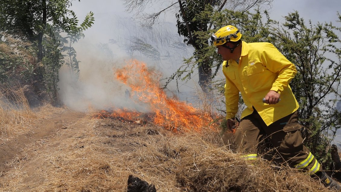 Incendios forestales desatan alerta roja en dos regiones de Chile