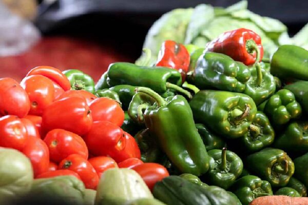 INTA Desarrolla encuentro con productores para presentar prácticas y tecnologías que reducen las afectaciones en Hortalizas