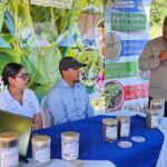 Nueva técnica promete mejorar fertilización de soya en Nicaragua