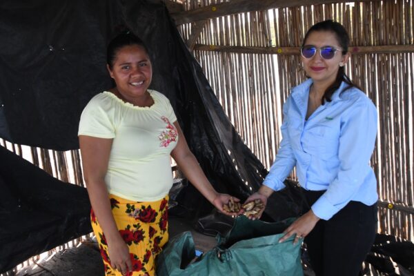 MARENA acompaña a la Cooperativa “Santos Plutarco” en la Comunidad La Bayona