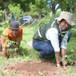 MARENA lanza la Campaña Nacional de Reforestación “Verde, que te quiero Verde”