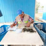 Mayor vigilancia y controles en pesqueros