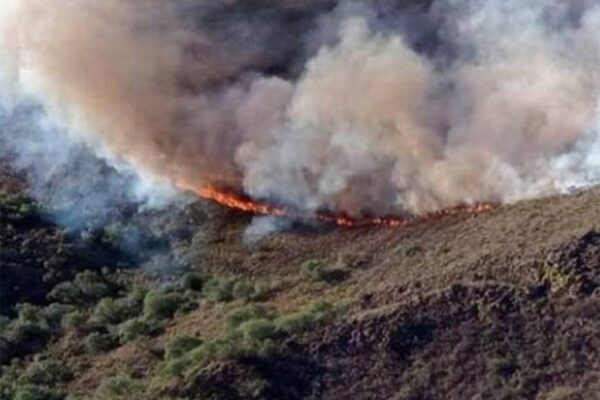 Cuba prevé mayor control sobre causas de incendios forestales