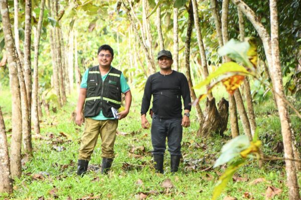 MARENA supervisa el desarrollo de plantación de Teca en finca «Jirón»