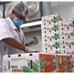 IPSA impulsa la sanidad agropecuaria y las exportaciones en Nicaragua