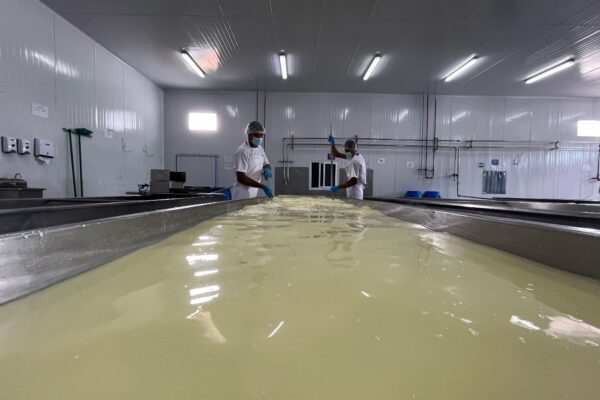 Acopio Nacional de Leche en enero de 2025