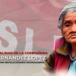 Amanda Aguilar: dignidad, firmeza y heroísmo