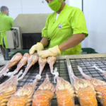 Inspecciones Sanitarias continúan en el establecimiento de procesos Central American Fisheries, S.A.