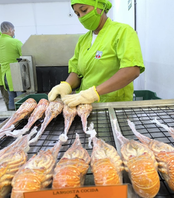 Inspecciones Sanitarias continúan en el establecimiento de procesos Central American Fisheries, S.A.