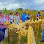INTA impulsa innovaciones agropecuarias para fortalecer la producción en Nicaragua