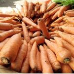 Producción de zanahoria en Nicaragua garantiza abastecimiento y crecimiento del sector agrícola