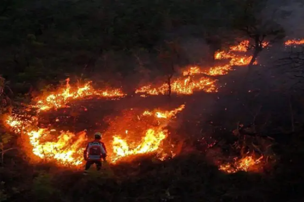 Incendios en Argentina dejan un fallecido y más de 1.000 evacuados