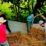 Avance de la Cosecha de Frijol Rojo de Apante 2024-2025