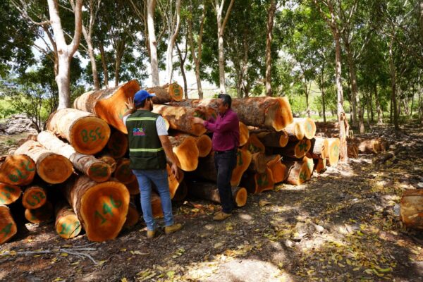 MARENA realiza visita a la Reserva Silvestre Privada Finca El Aguacate para promover la sostenibilidad forestal