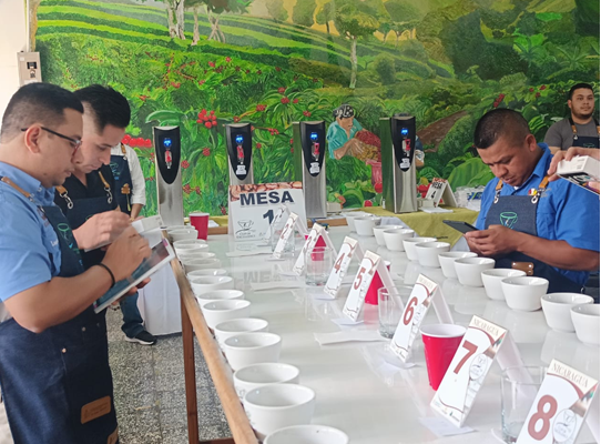 Inicia la Primera Etapa de Calibración y Selección del Jurado Nacional para el Certamen Taza de Excelencia Nicaragua 2025