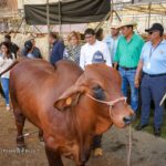 Feria Ganadera en Siuna: Un encuentro para el desarrollo agropecuario