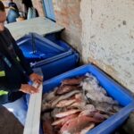 INPESCA monitorea recursos hidrobiológicos en León y Chinandega