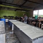 Producción Nacional de Leche, Primer Trimestre de 2025