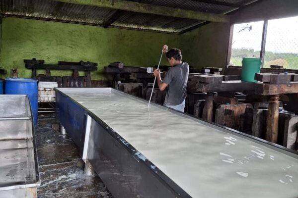 Producción Nacional de Leche, Primer Trimestre de 2025