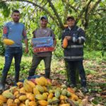 IPSA implementa programas de acompañamiento a productores de Cacao