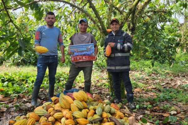 IPSA implementa programas de acompañamiento a productores de Cacao
