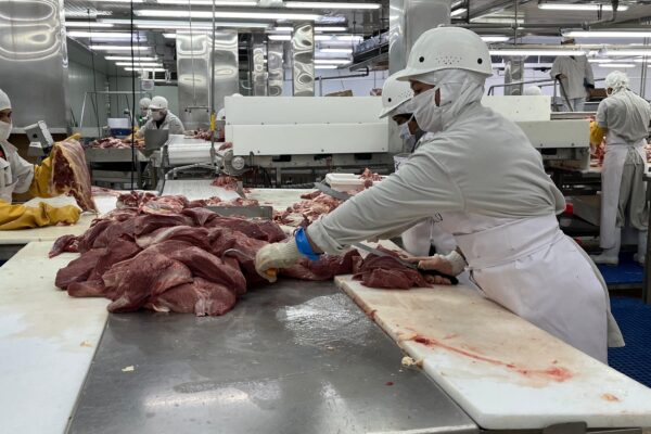 Crece la producción nacional de carne bovina en marzo de 2025