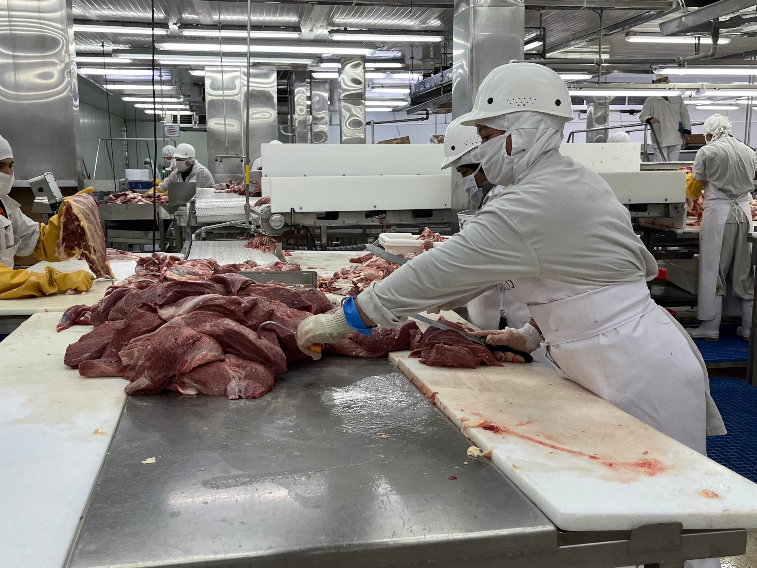Crece la producción nacional de carne bovina en marzo de 2025