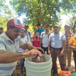 INTA Presenta Alternativa de Alimentación para Ganado Bovino