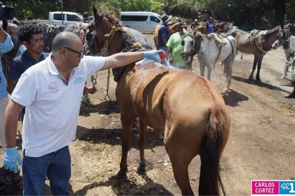 Alcaldía de Managua impulsa el cuidado animal y la educación ambiental