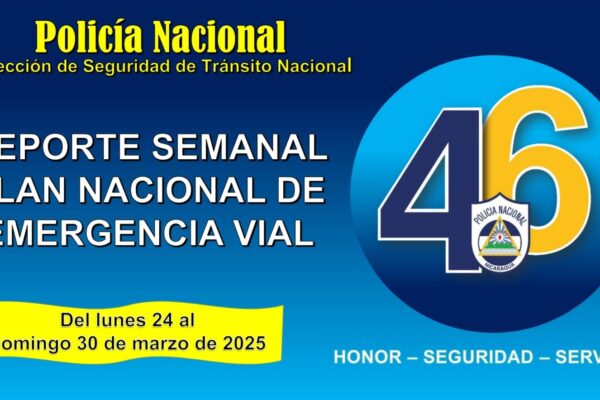 Plan Nacional de Seguridad Vial: 100 conductores ebrios detenidos y 392 licencias suspendidas