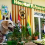 Nicaragua inaugura el primer Hospital Veterinario Público del país