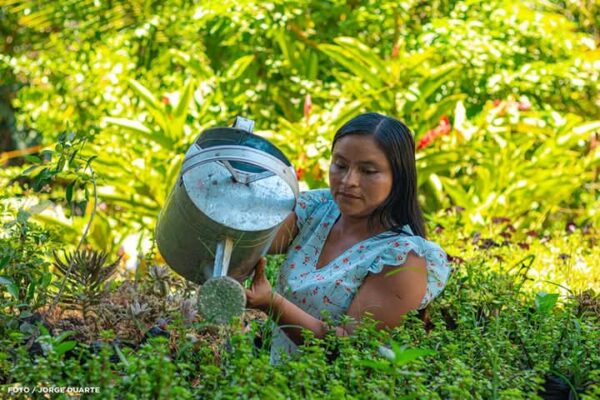 Jóvenes de Catarina cultivan sueños y amor entre flores