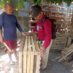 Temporada de langosta impulsa la economía costera y fortalece exportaciones nicaragüenses