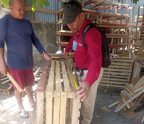 Temporada de langosta impulsa la economía costera y fortalece exportaciones nicaragüenses