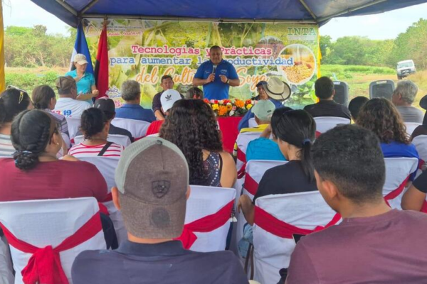 INTA Presenta Resultados de Producción de Soya en Posoltega
