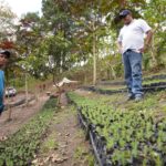 MARENA acompaña labor ambiental en vivero “Venecia” en Chontales