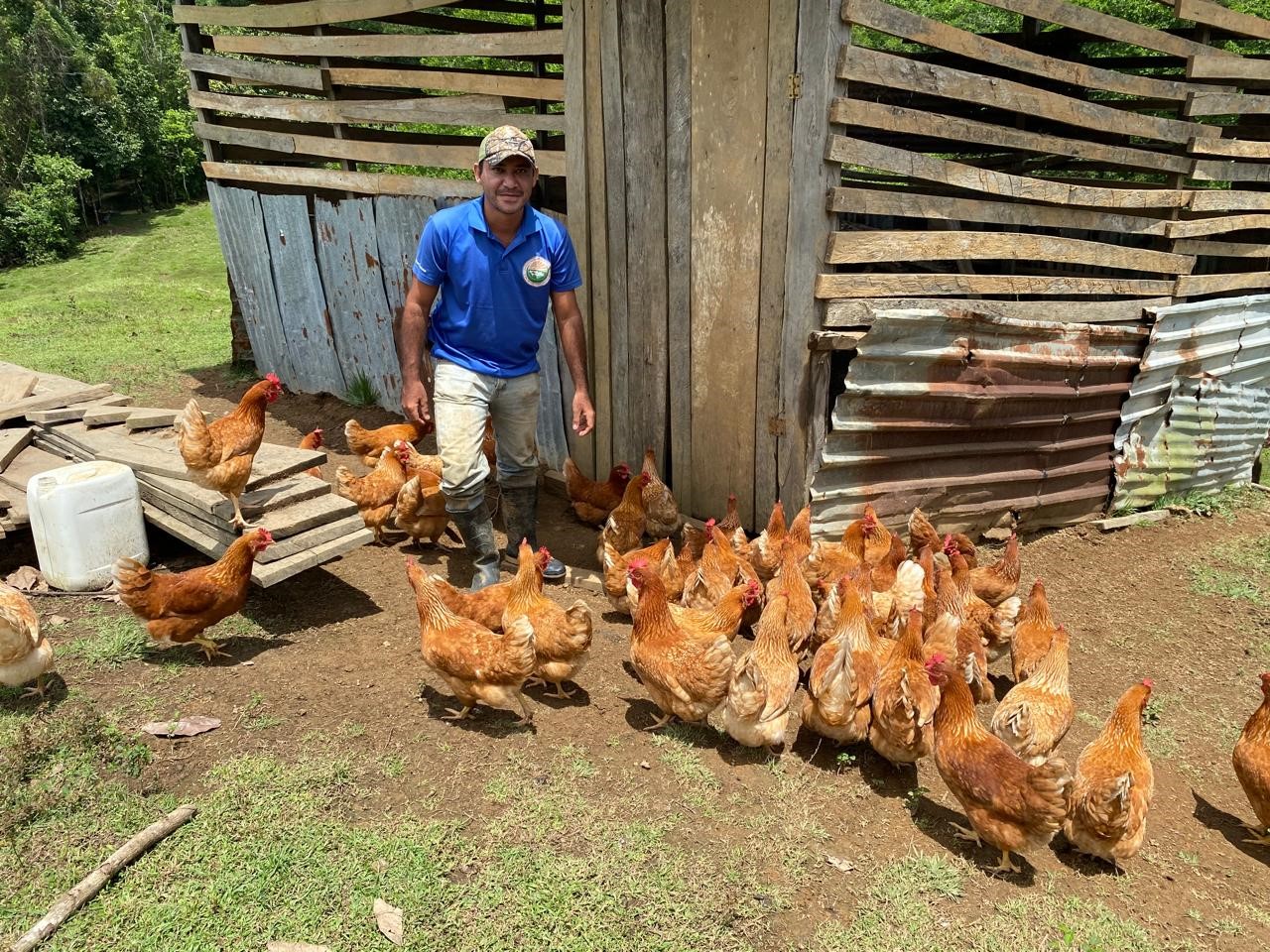 Producción de huevo en Nicaragua garantiza consumo y dinamiza la economía nacional