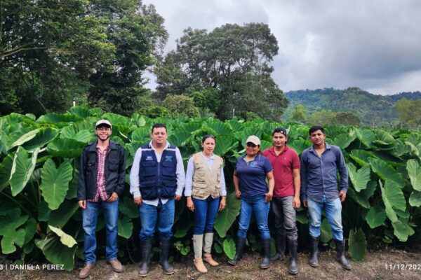 Nicaragua fortalece la producción y exportación de productos no tradicionales