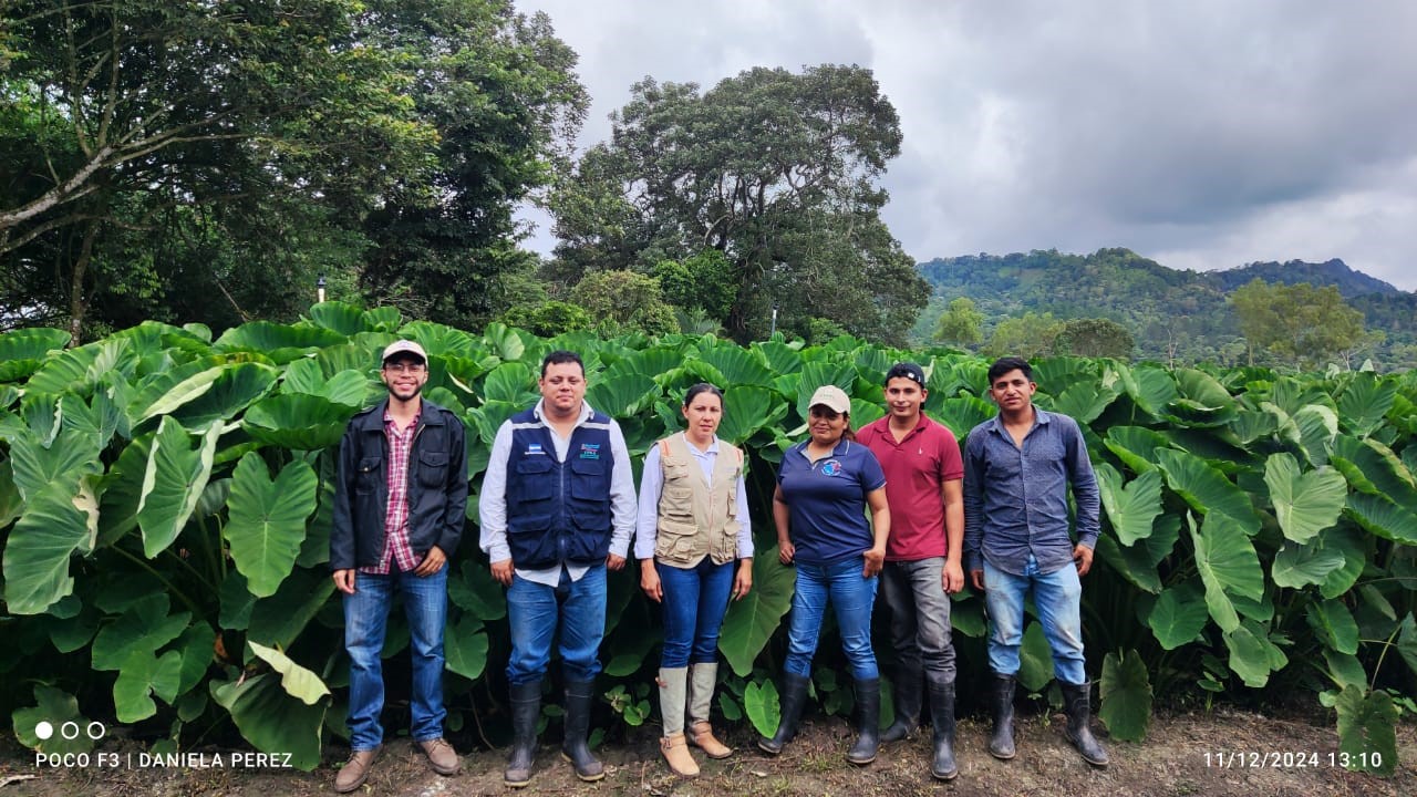 Nicaragua fortalece la producción y exportación de productos no tradicionales