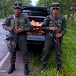 Ejército retiene madera ilegal en Mulukukú