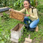 Producción de miel de abeja crece en Nicaragua durante el primer trimestre de 2025