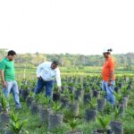 MARENA supervisa prácticas ambientales en PALCASA durante visita a Río San Juan