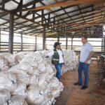 MARENA supervisa operaciones de empresa resinera en Waspam