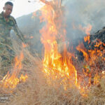 Ejército de Nicaragua sofoca incendio forestal en Chontales