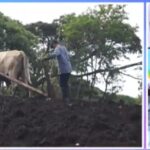 Seguridad alimentaria y progreso rural: INTA acompaña al productor con innovación y asistencia técnica